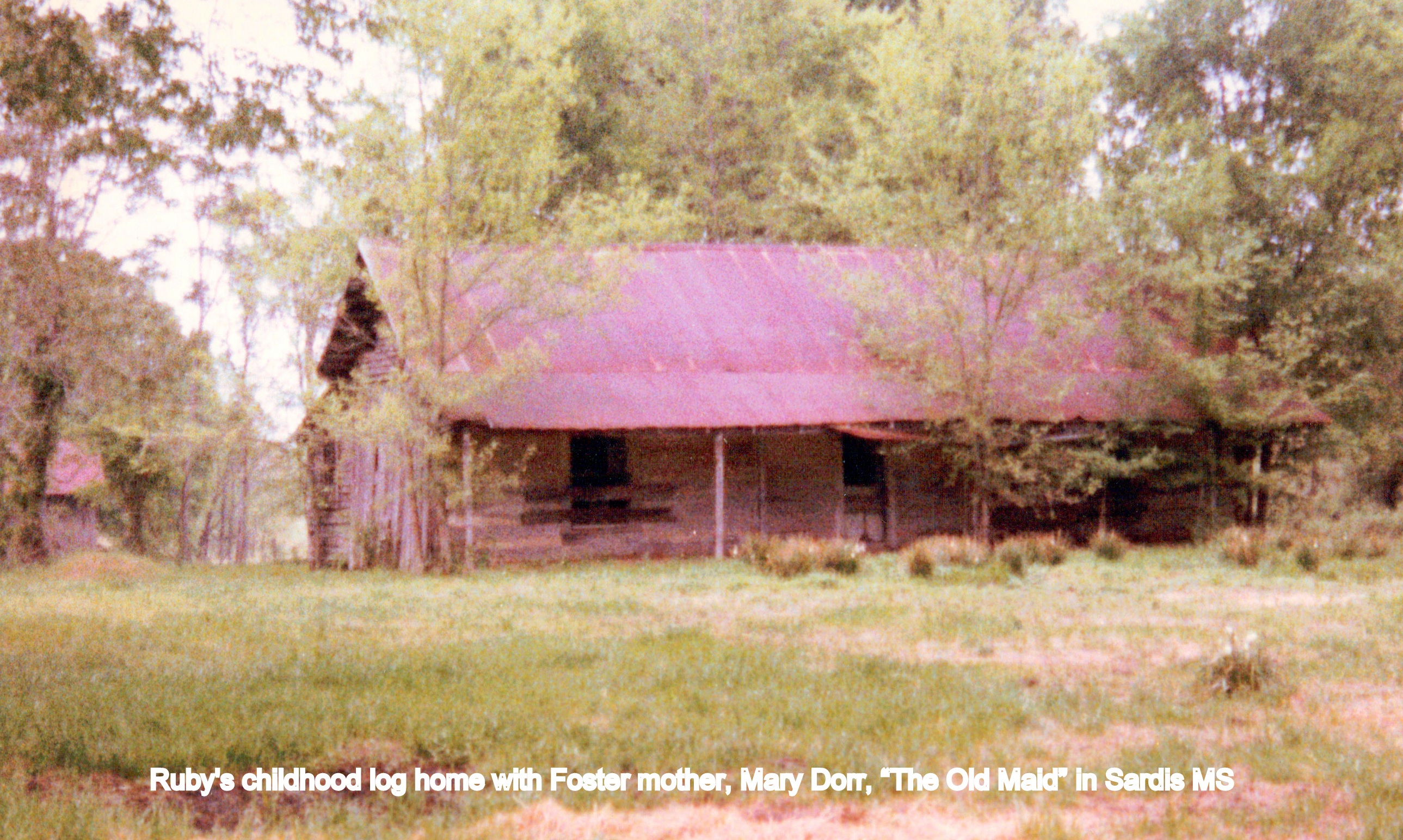 MaryDorrlogcabin.jpg (31958 bytes)